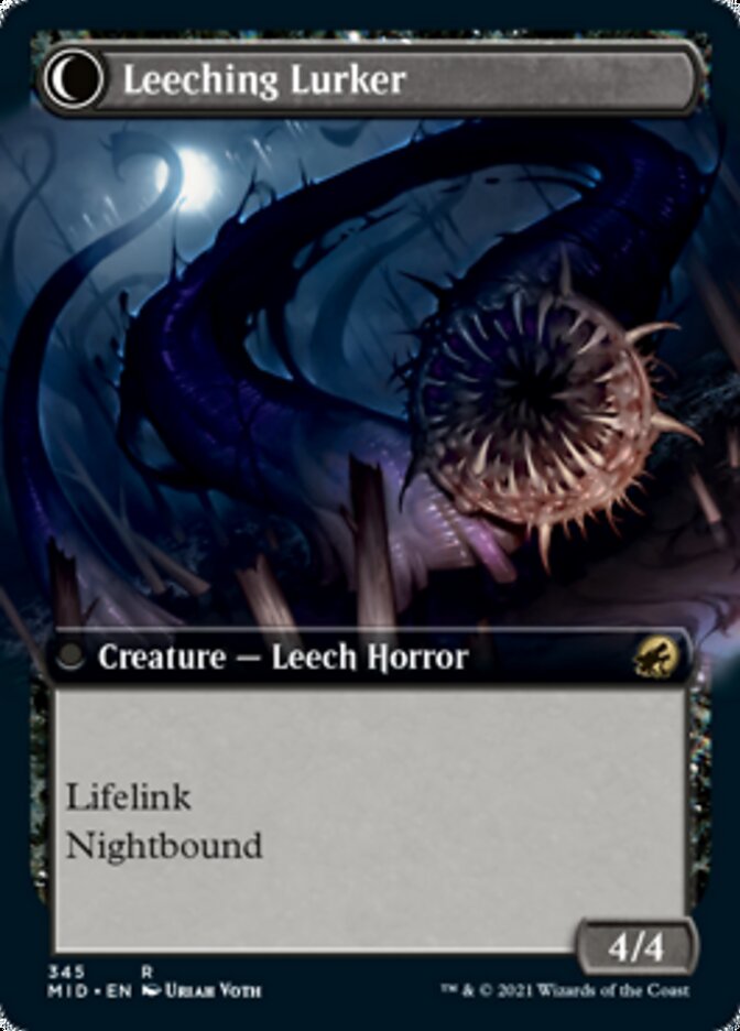 Curse of Leeches // Leeching Lurker (Extended) [Innistrad: Midnight Hunt]