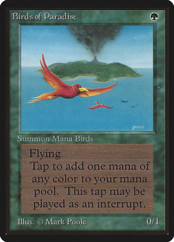 Birds of Paradise [Limited Edition Beta]